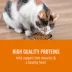 Simply Nourish® Source Cat Dry Food - Chicken & Turkey, Natural, High-Protein, Grain Free image thumbnail 3