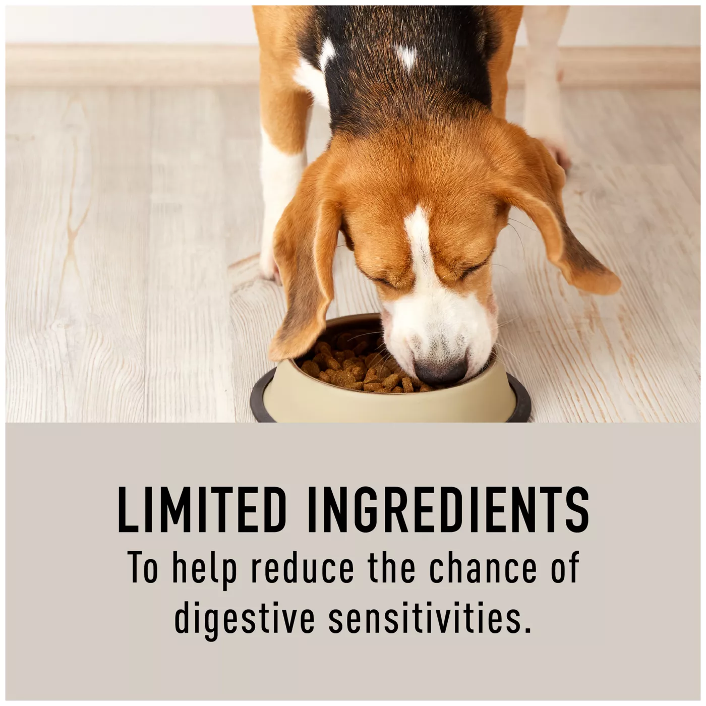 Dog food with lamb as first ingredient store