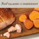 Product Simply Nourish® Limited Ingredient Diet Senior Dry Dog Food - Salmon & Sweet Potato