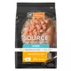 Product Simply Nourish® Source Puppy Dry Dog Food - Chicken