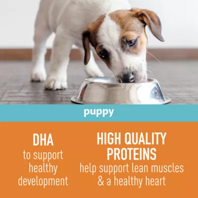 Product Simply Nourish® Source Puppy Dry Dog Food - Chicken