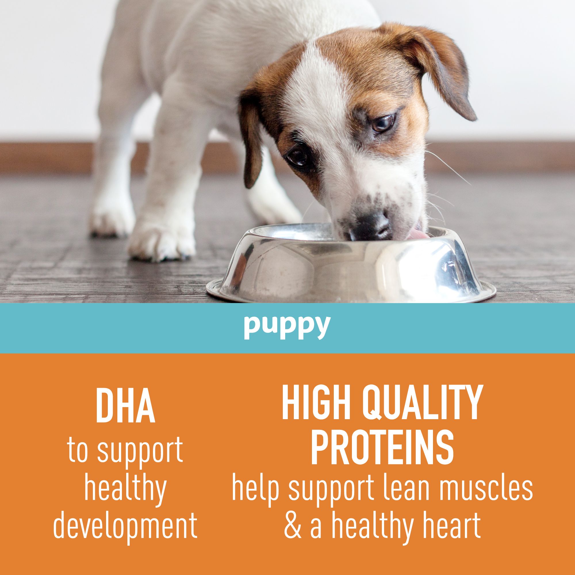 simply nourish grain free puppy