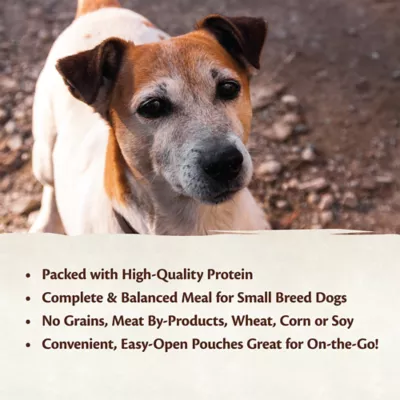 Product Wellness® CORE® Mini Meals Small Breed Pate All Life Stage Wet Dog Food - Variety Pack