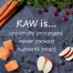 Product Instinct® Raw Boost Kibble + Freeze-Dried Raw All Life Stages Dry Dog Food - Raw, Grain Free, Salmon