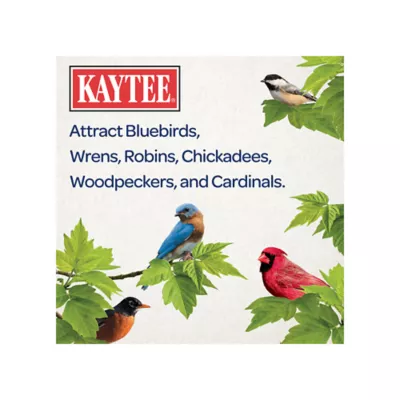 Product KAYTEE® Nyjer Seed Wild Bird Food