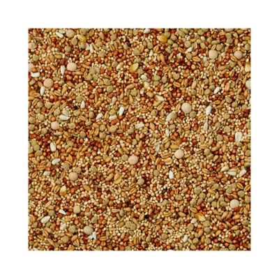 Product KAYTEE® Supreme Dove Wild Bird Food