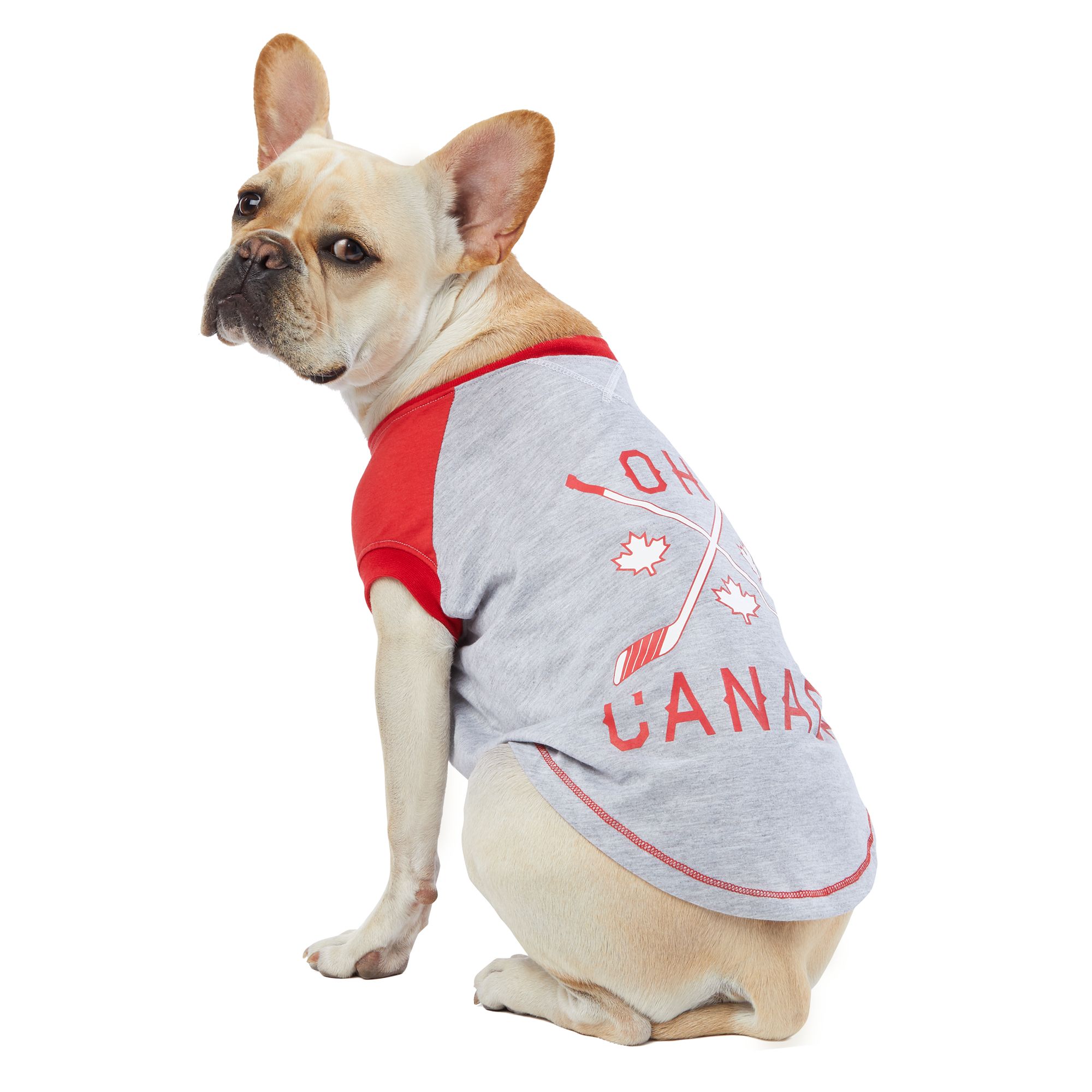 dog clothes canada