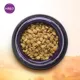 Product HALO®  DreamCoat Adult Dog Food - Natural, Holistic Wild Salmon & Whitefish Recipe