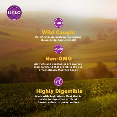 Product HALO®  DreamCoat Adult Dog Food - Natural, Holistic Wild Salmon & Whitefish Recipe