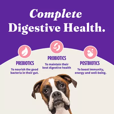 Halo Holistic Healthy Grains, Adult Dry Dog Food - Salmon & Whitefish Recipe, 21 lb - Image 6