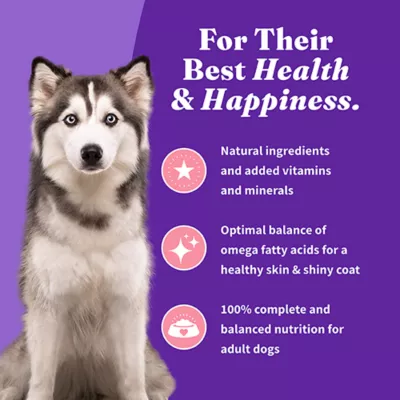 Halo Holistic Healthy Grains, Adult Dry Dog Food - Salmon & Whitefish Recipe, 21 lb - Image 7