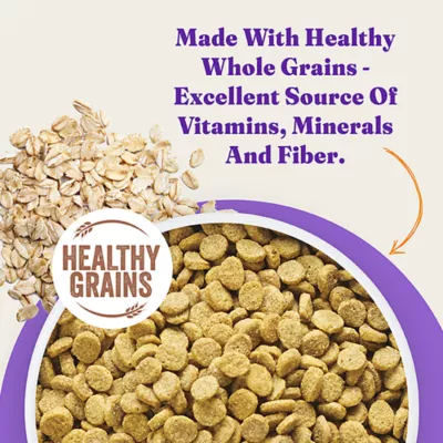 Halo Holistic Healthy Grains, Adult Dry Dog Food - Salmon & Whitefish Recipe, 21 lb - Image 8