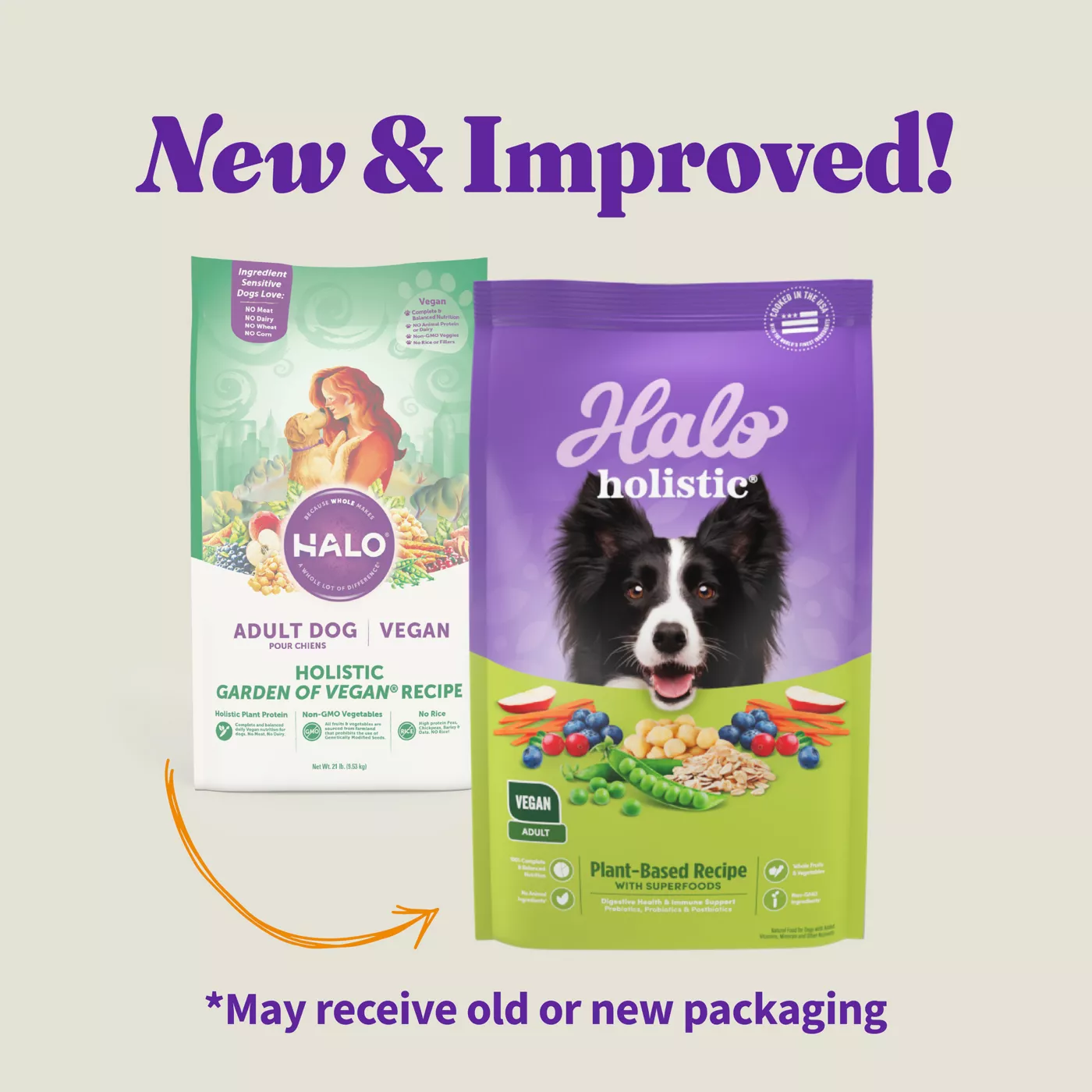 Halo dog food canada hotsell