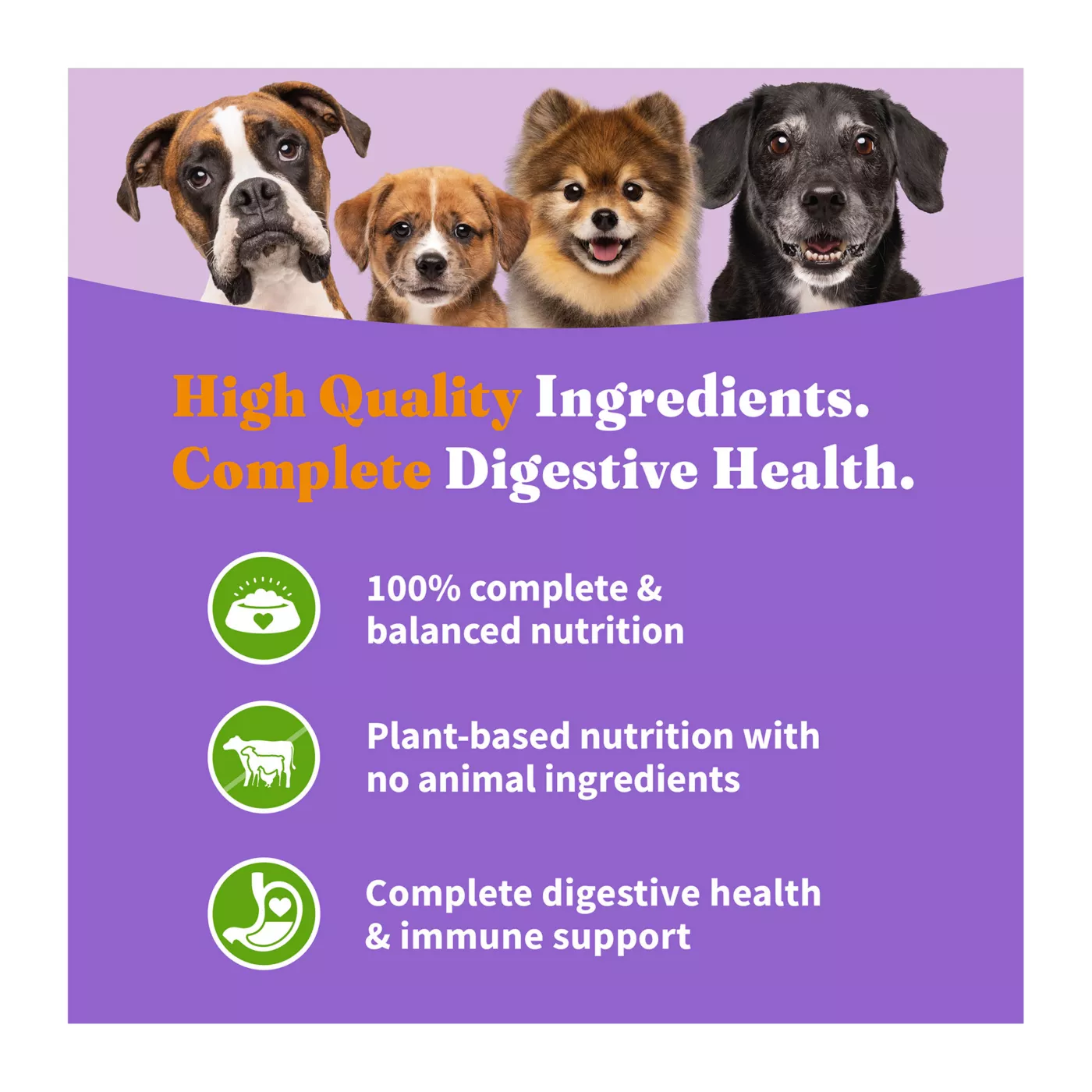 Halo vegetarian dog food best sale