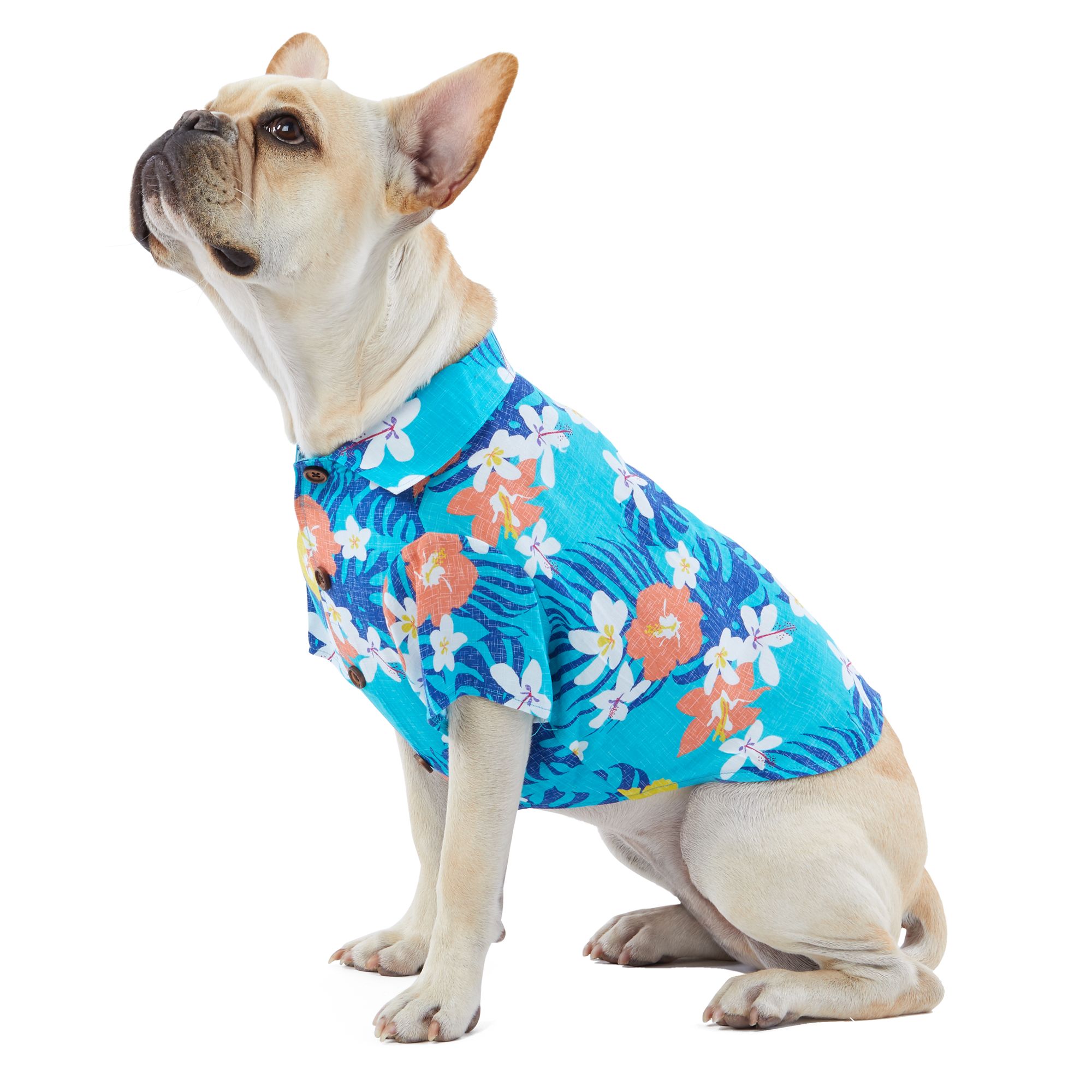 Petsmart Dog Pajamas
 Top Paw Summer Fun Hawaiian Pet Shirt