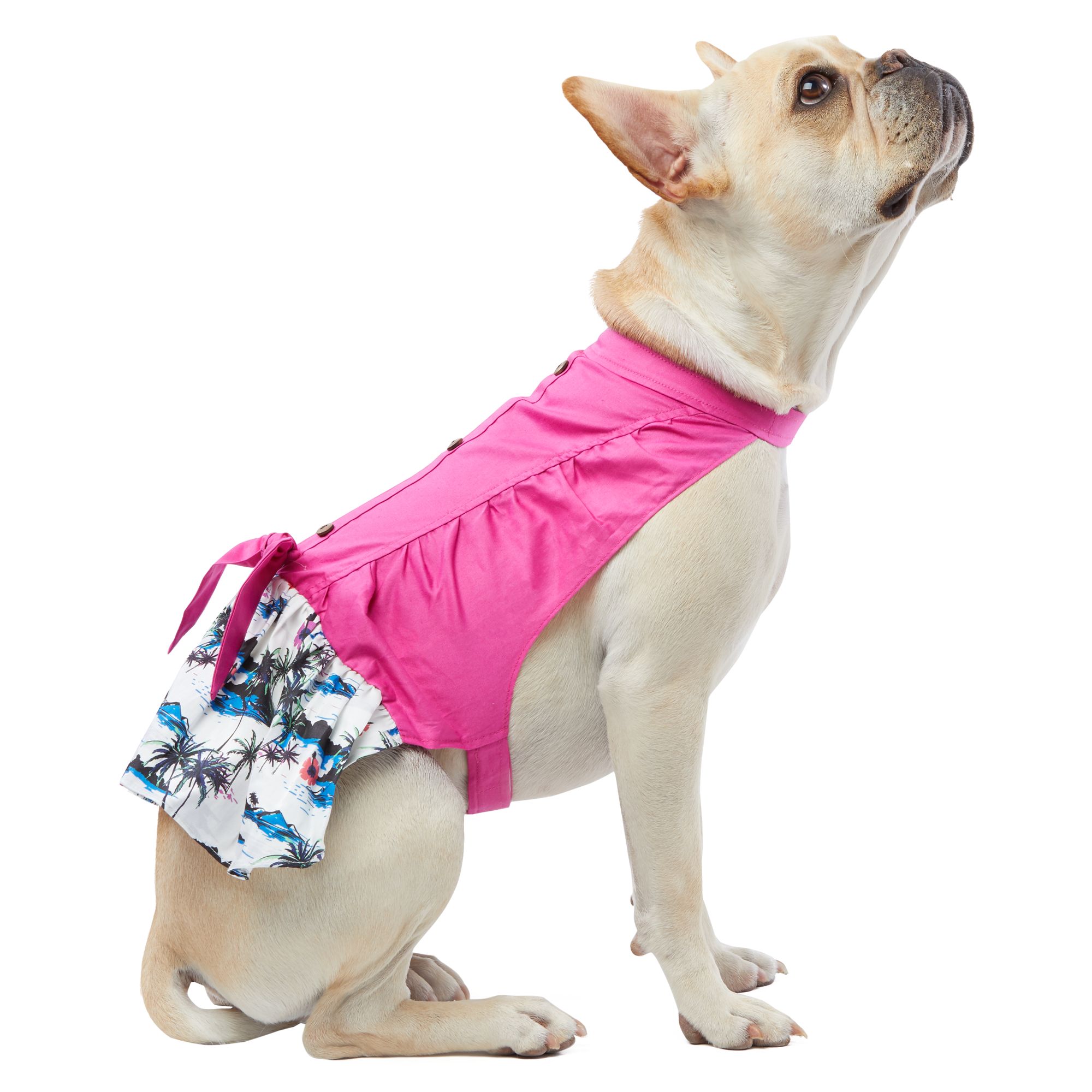 Top Paw® Summer Fun Pleated Pet Dress | dog Dresses | PetSmart