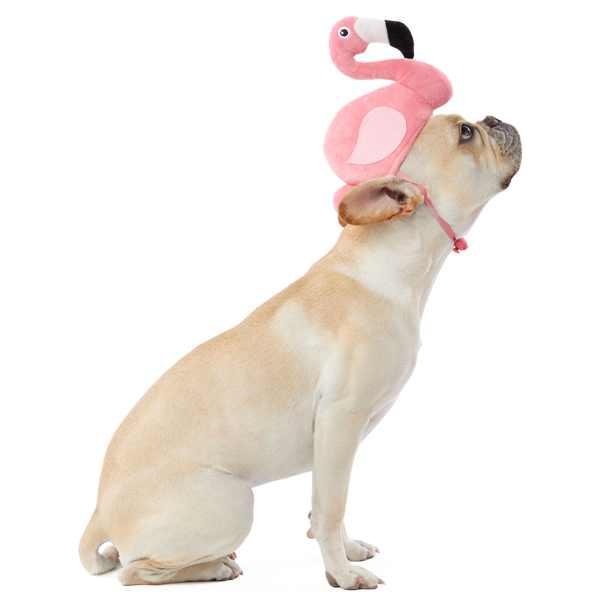 Top Paw® Summer Fun Flamingo Pet Hat dog Bandanas, Bows & Hats PetSmart