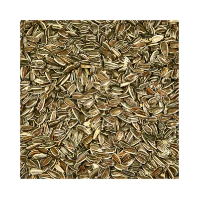 Product KAYTEE® Striped Sunflower Wild Bird Food