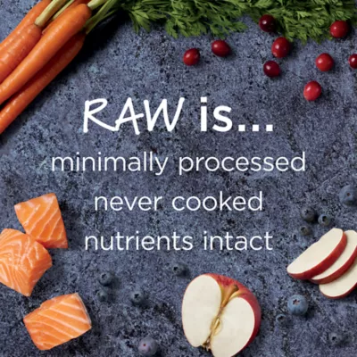 Product Instinct® Raw Boost Cat Food, Natural, Grain Free Recipe, Freeze Dried Raw, Salmon