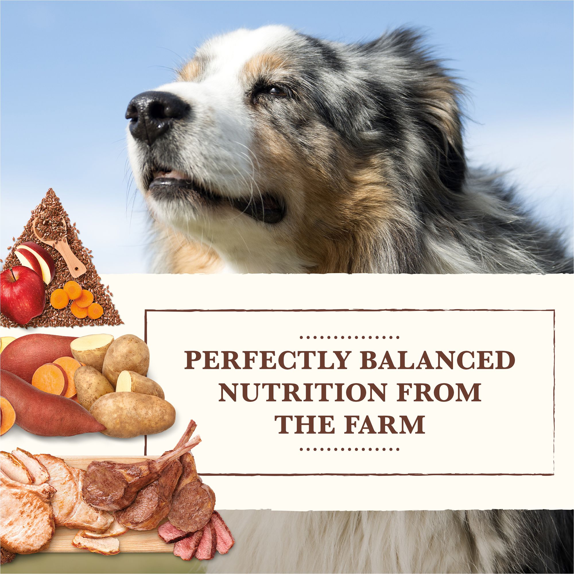 whole earth farms dog