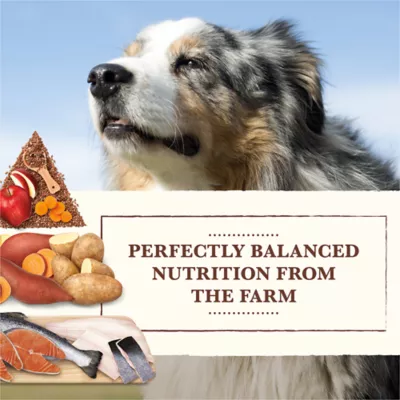 Product Whole Earth Farms® Adult Dry Dog Food - Salmon, Corn Free, Grain Free