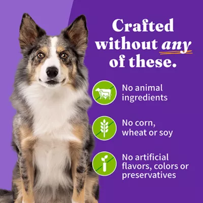 Halo Vegan Adult Wet Dog Food - Plant-Based - Image 4