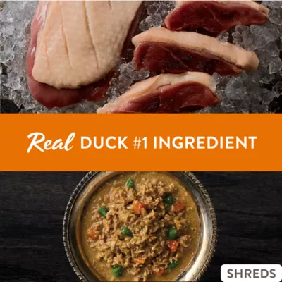 Simply Nourish® Source Adult Wet Dog Food - 10 Oz., Stew - Image 2