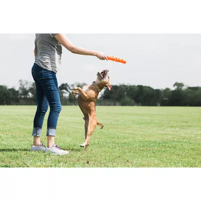 Product Chuckit!® Breathe Right® Fetch Stick Dog Toy