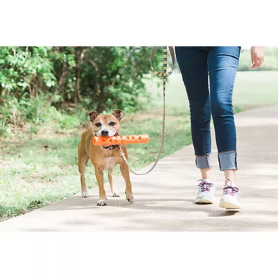 Product Chuckit!® Breathe Right® Fetch Stick Dog Toy