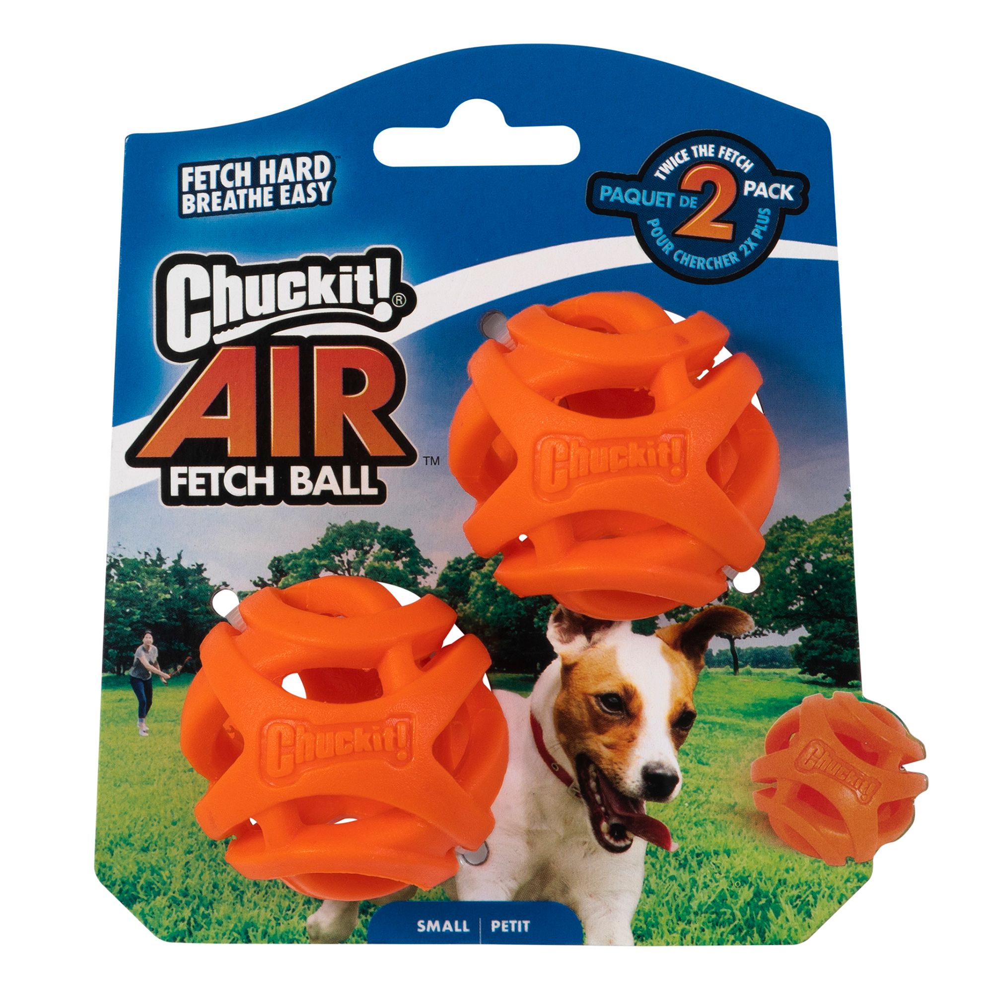 fetch ball