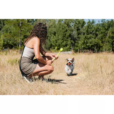 Product Chuckit!® Air Fetch Ball Dog Toy - 2 Pack