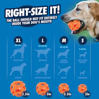 Product Chuckit!® Air Fetch Ball Dog Toy - 2 Pack
