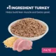 Product Authority® Everyday Health Indoor Kitten Cat Wet Food - 3 Oz, Pate, With-Grain