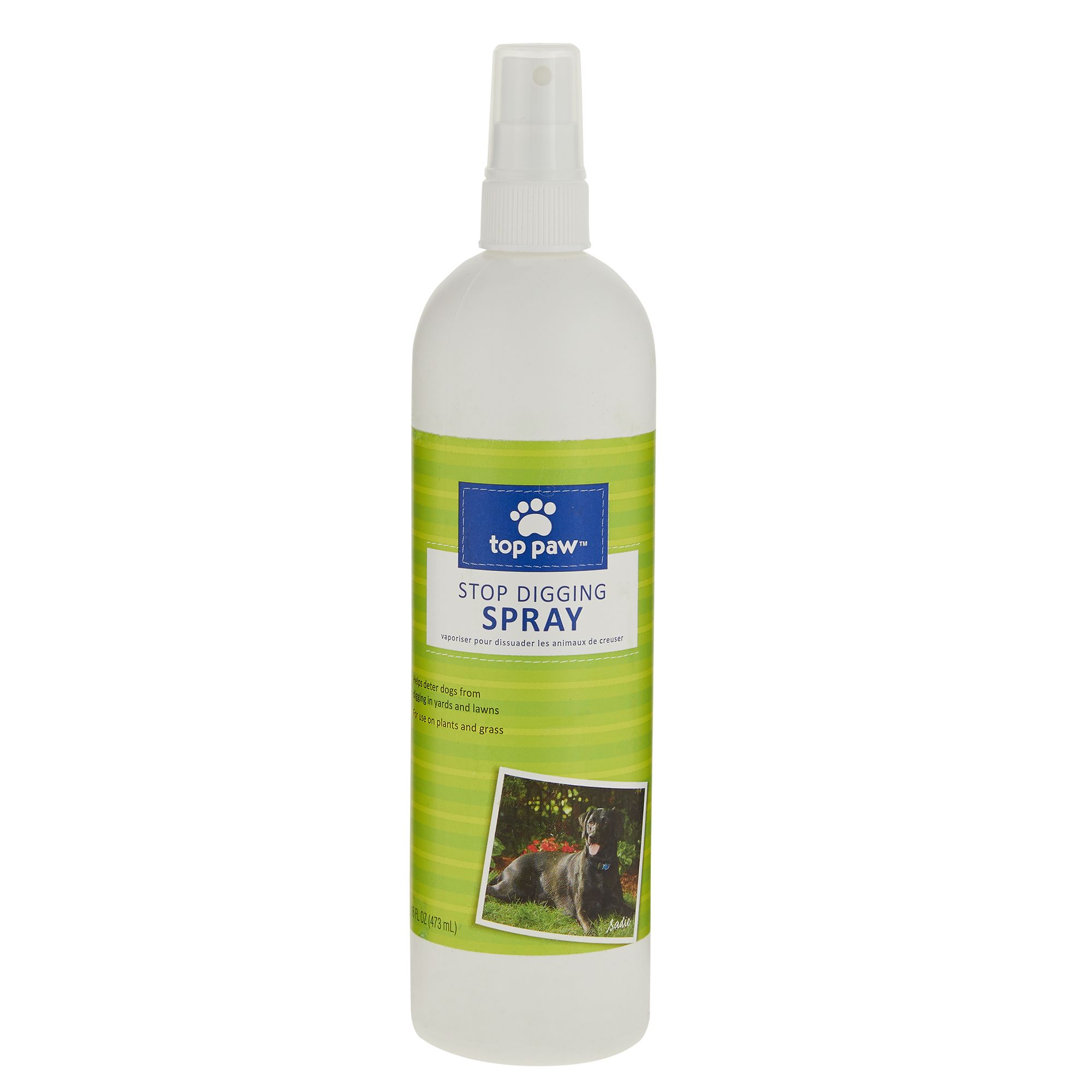 spray to deter dogs from digging