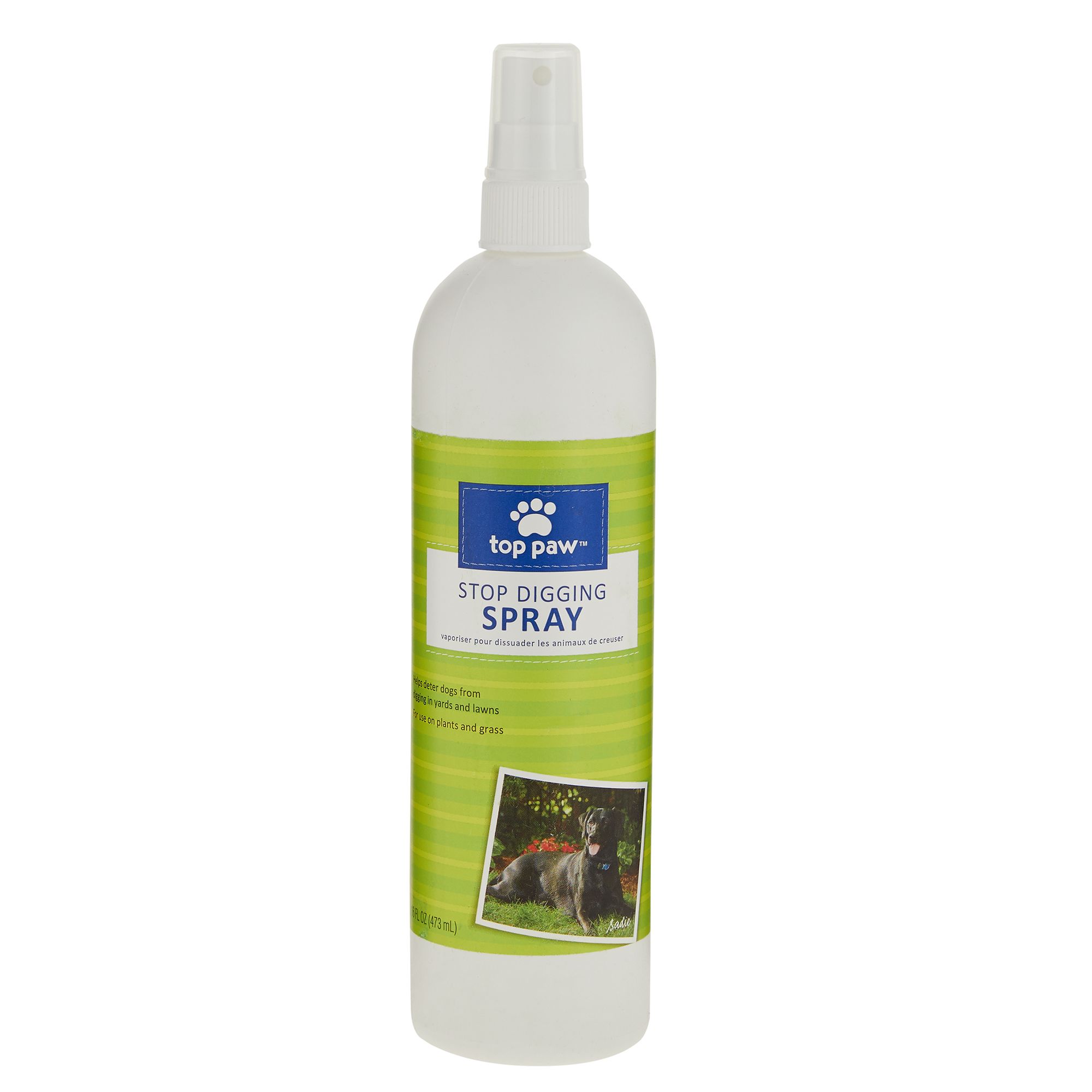 spray to keep dogs from digging