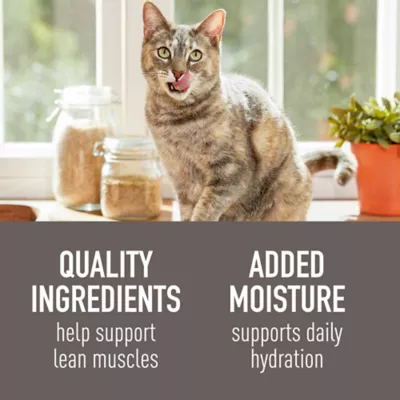 Product Simply Nourish® Original Cat Wet Food - 3 Oz, Natural, Pate, With-Grain