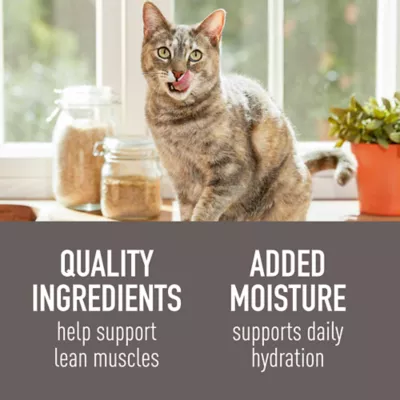 Product Simply Nourish® Original Cat Wet Food - 3 Oz, Natural, Shreds in Creamy Sauce, With-Grain