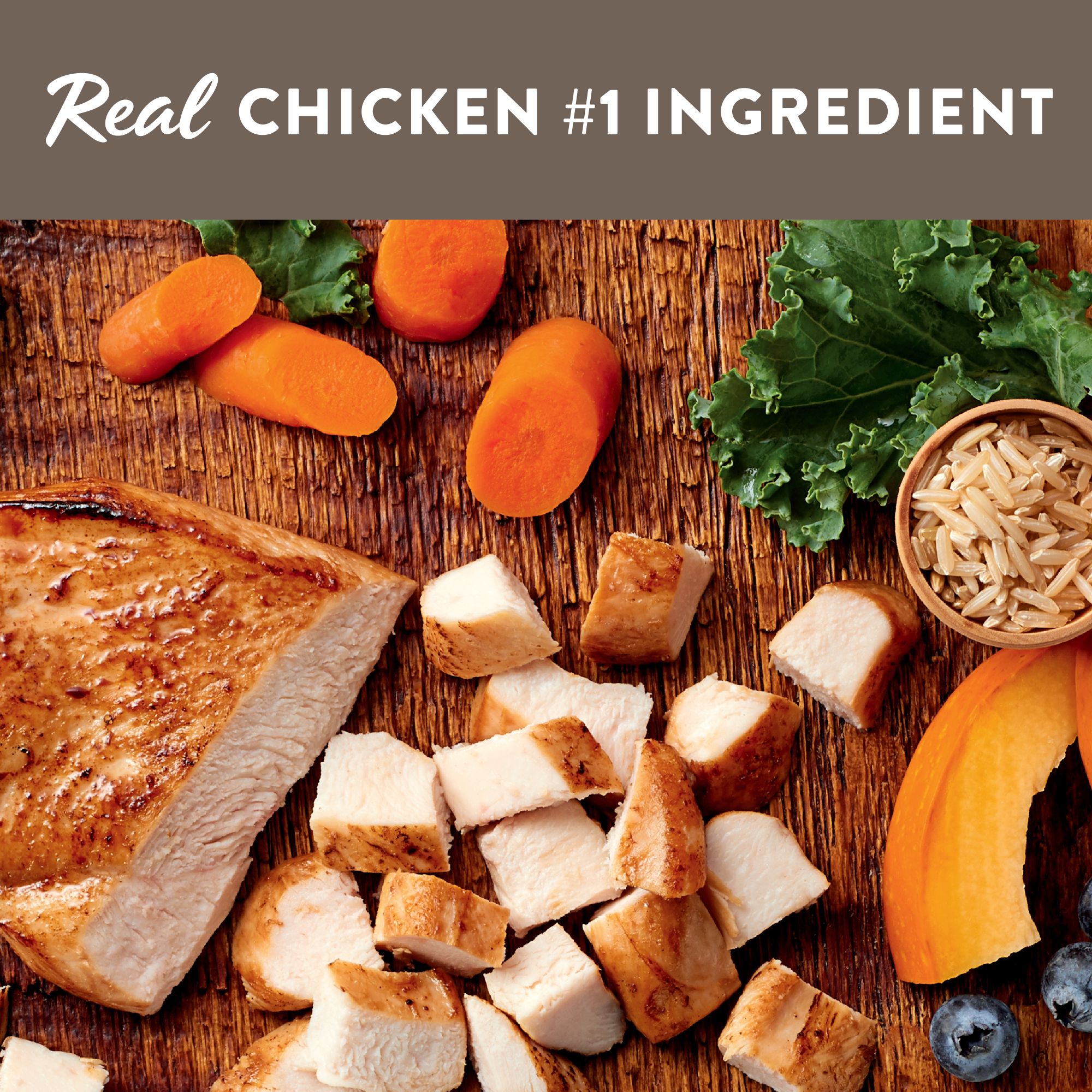 petsmart simply nourish puppy