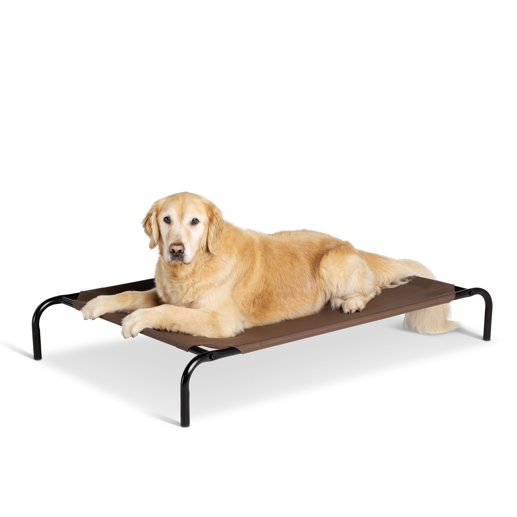 elevated dog cot