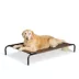 Top Paw® Indoor/Outdoor Elevated Dog Bed image thumbnail 1