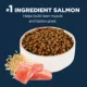 Product Authority® Everyday Health Indoor Kitten Cat Dry Food - Salmon & Rice, With-Grain