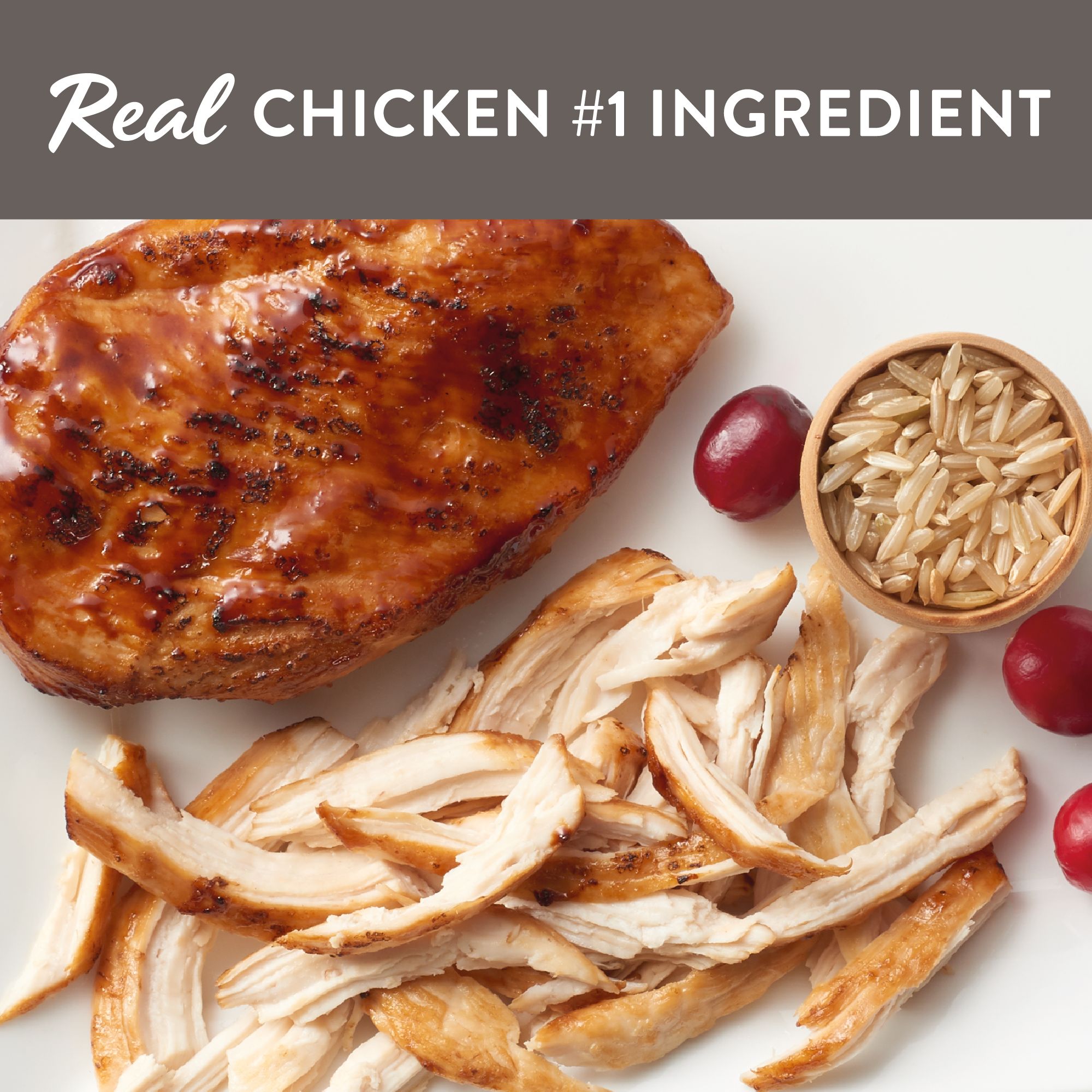 simply nourish kitten