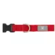 Product Top Paw® Signature Dog Collar