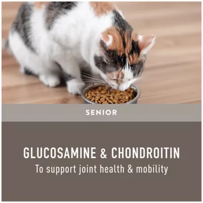 Cat food with glucosamine and chondroitin hotsell