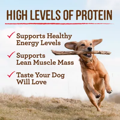 Product Merrick® Grain Free Favorites Adult Wet Dog Food - 12.7 Oz