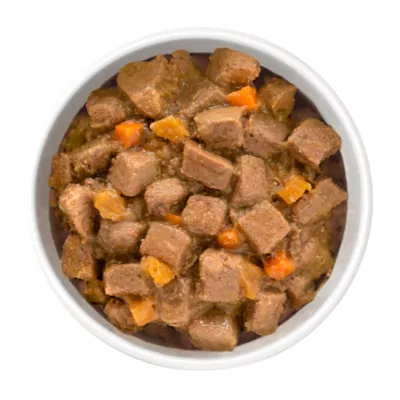 Product Merrick® Grain Free Puppy Plate Wet Dog Food - 12.7 oz