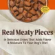 Product Merrick® Grain Free Chunky Adult Wet Dog Food - 12.7 Oz., Grain Free, No Animal By-Products