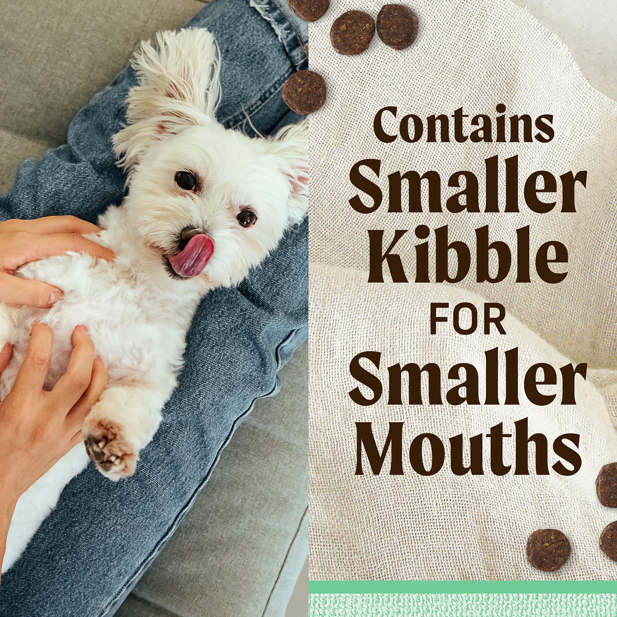 merrick lil plates senior dog food