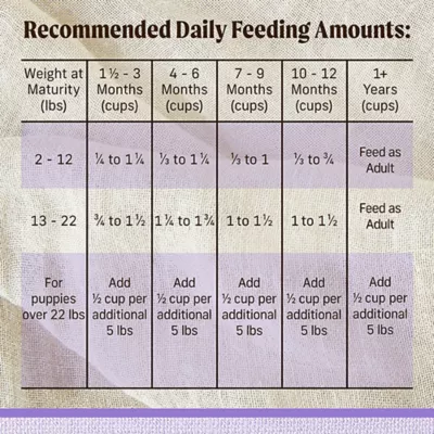 Product Merrick® Lil' Plates® Small Breed Puppy Dry Dog Food - Grain Free, Real Chicken & Sweet Potato