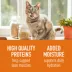 Simply Nourish Source Natural Adult Cat Food - Hight Protein, Grain Free, Pate, 3 oz image thumbnail 3